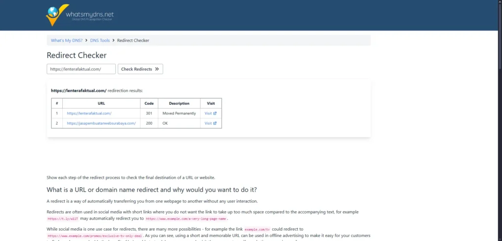 Tangkapan Layar WhatsMyDNS Checker (oasi.id)